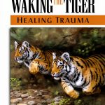 Post-Traumatic Stress Healing Guide by North Atlantic Books eBook-0