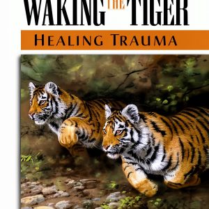Post-Traumatic Stress Healing Guide by North Atlantic Books eBook-0