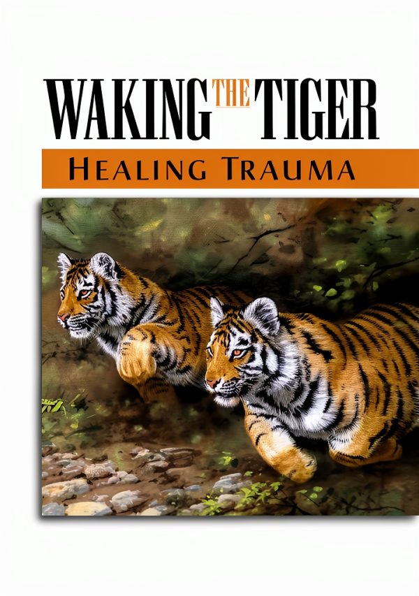 Post-Traumatic Stress Healing Guide by North Atlantic Books eBook-0